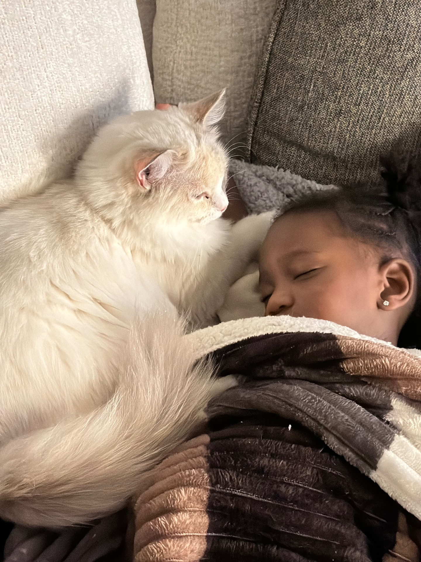 Cali nuzzling our daughter's cheek as she naps — gentle, bonded, and patient with kids