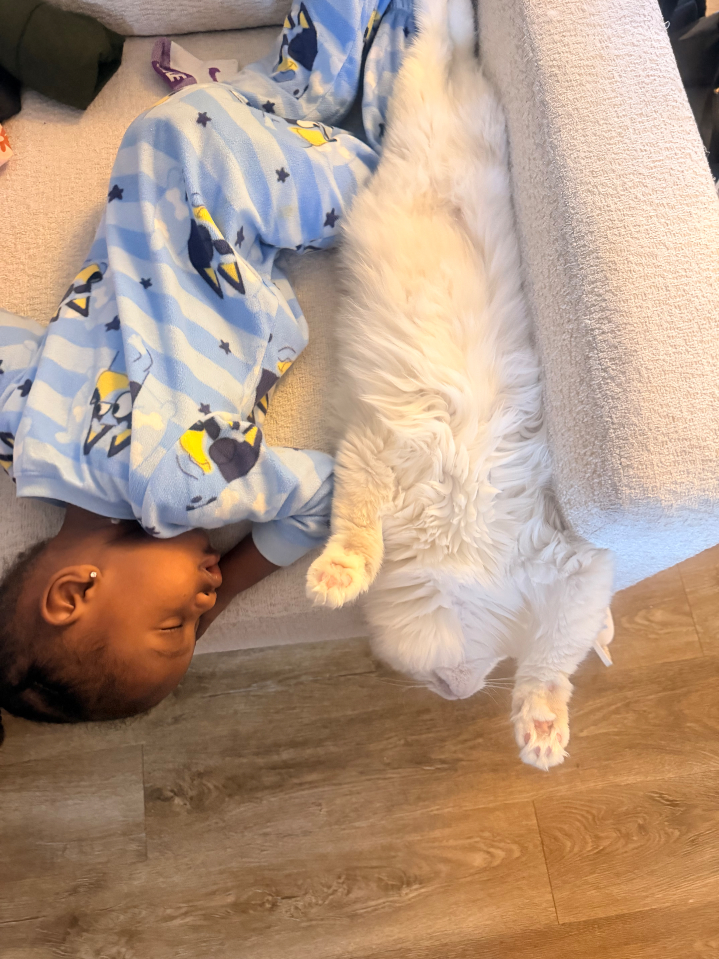 Our Ragdoll stretched out beside our toddler in pajamas — best friends at nap time